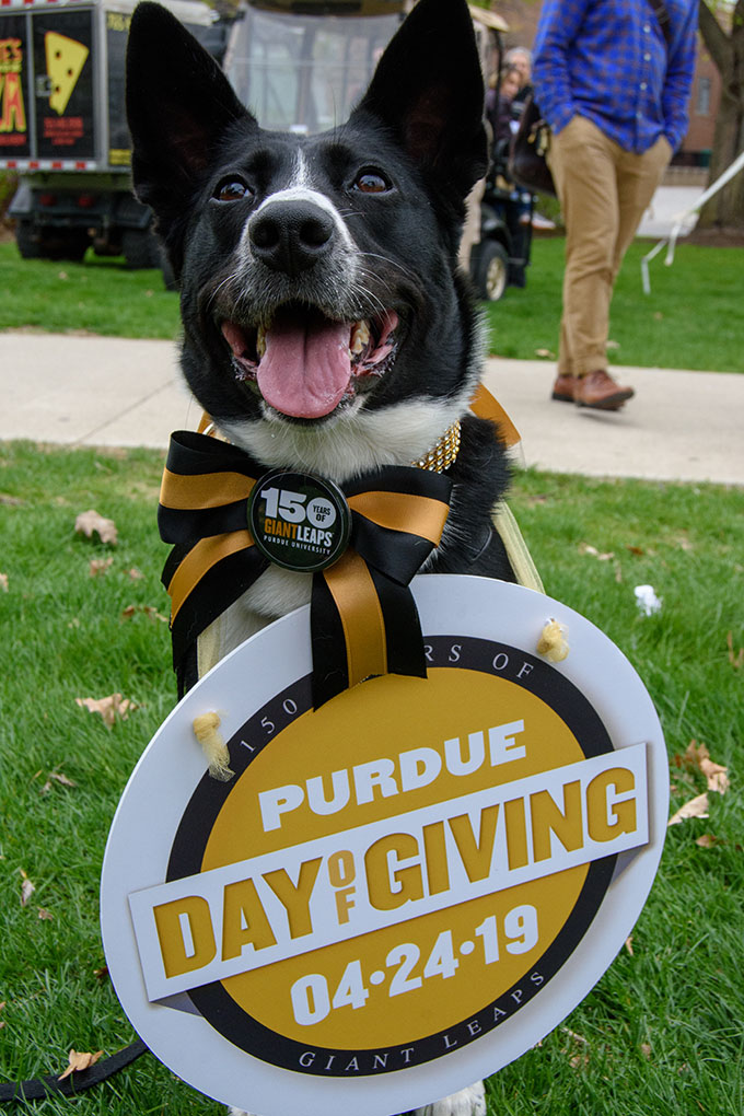 Purdue Day of Giving Pets